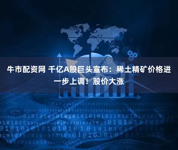 牛市配资网 千亿A股巨头宣布：稀土精矿价格进一步上调！股价大涨